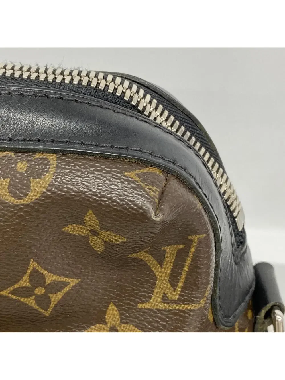 Louis Vuitton Torres Handbag Macassar #309473L85B